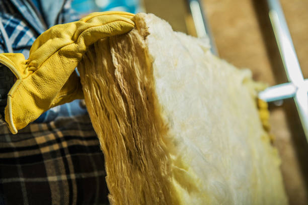 Best Local Insulation Services  in Humansville, MO