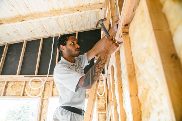 Best Insulation Replacement Services  in Humansville, MO