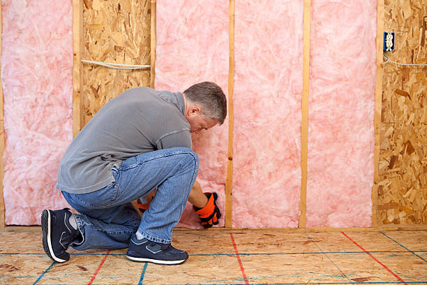 Best Blown-in Insulation  in Humansville, MO