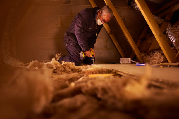 Best Best Insulation Companies  in Humansville, MO